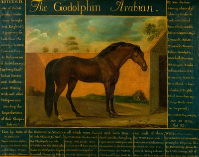 Der Godolphin Araber von Daniel Quigley